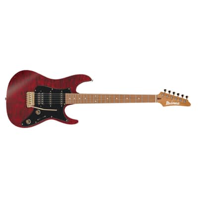 Ibanez Scott LePage SLM10-TRM image 5