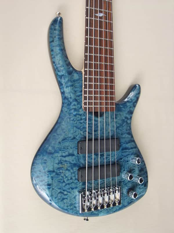 Roscoe Century Custom 6 string bass image 1