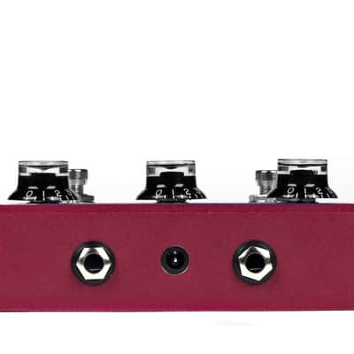 The Woman Tone | Aclam Guitars image 4