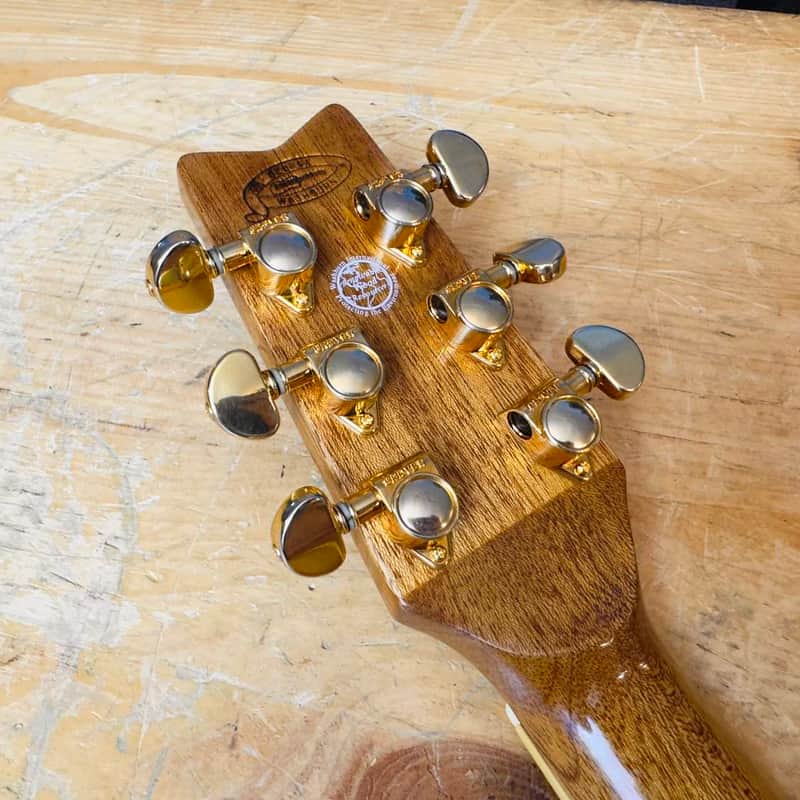 Washburn Festival Series EA26 Craig Chaquico Signature Acoustic