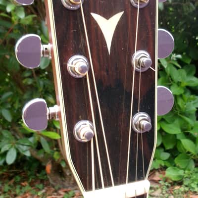 1979 Yairi YW-500P D-35 style + Vintage Hard Case image 6