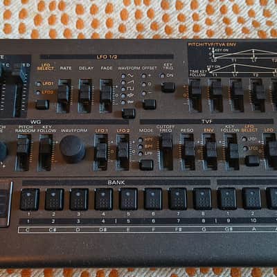 Roland JD-08 Boutique Series Programmable Synthesizer Module 2021 - Present - Black