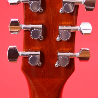 Glen Burton GA204BCO-BK  Cutaway Acoustic Electric Guitar image 5