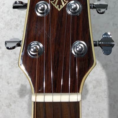 Immagine Wechter NV5413ce Natural - 8