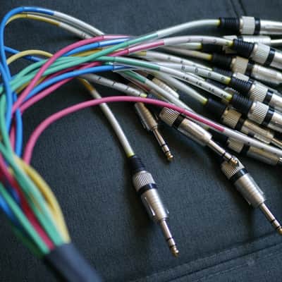 Seismic Audio SAXT-16x15M 16-Channel 1/4" TRS Male to XLR Male Snake Cable - 15' 2010s - Various image 3