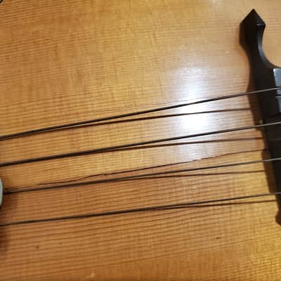 1920's Weymann Mandolute image 5