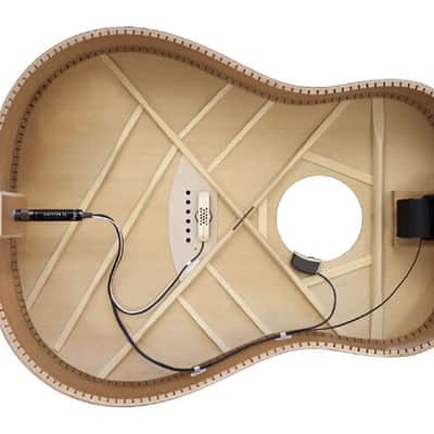 LR Baggs Anthem SL Acoustic Guitar Pickup and Microphone image 3