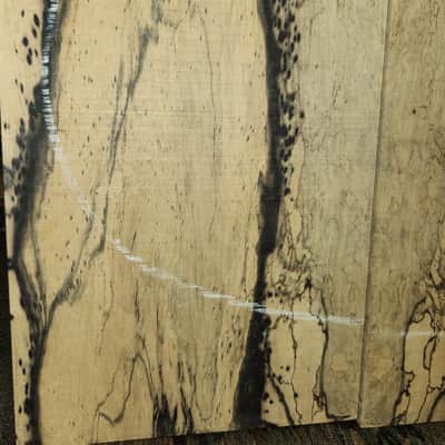 Pale Moon Ebony Guitar Back or Top Natural Unfinished Material image 2