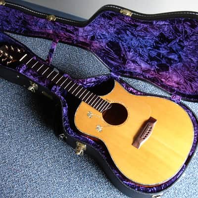 Lance Mccollum Grand Auditorium Tree Mahogany image 7