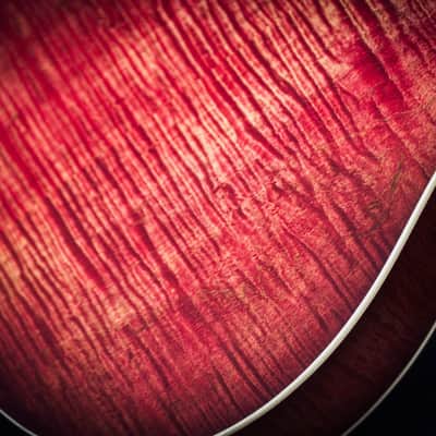 National Scheerhorn Figured Maple Roundneck 2019 image 11