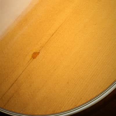 Martin D-28 P  1987 image 19