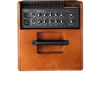 Acus One For Strings 5T 75-Watt Acoustic Combo Wood image 2