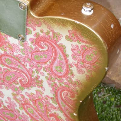 DY Guitars Brad Paisley tribute Pink Paisley relic esquire / tele body PRE-BUILD ORDER image 3