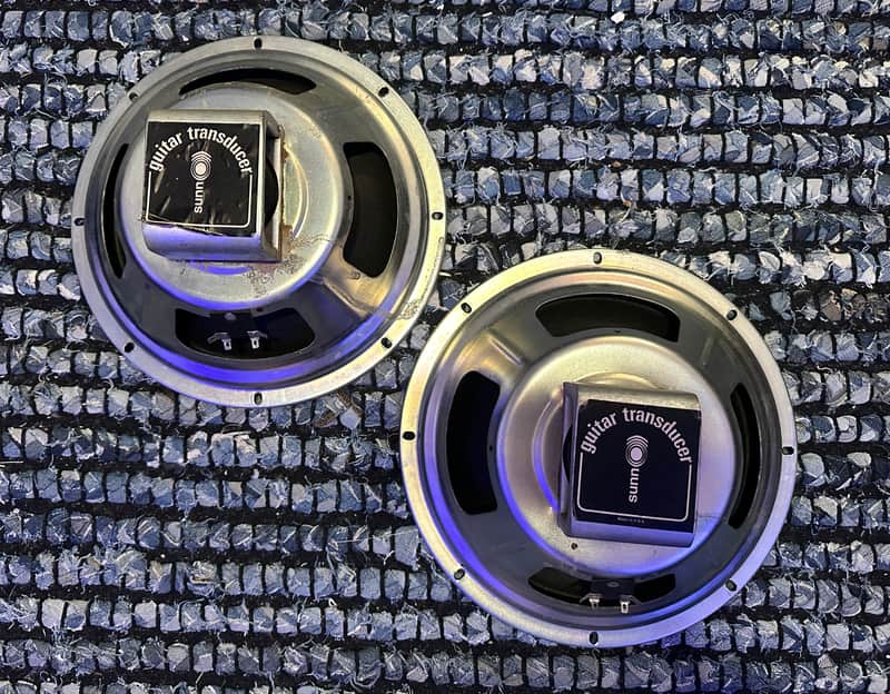 Vintage 1970’s Sunn Transducer 12” Speaker Pair image 1