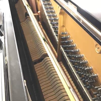 Yamaha U3H Nuovo Ricondizionato 2500379 - Gloss Black image 5