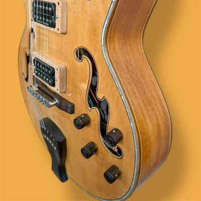 Blueberry Handmade Hollow Body Electric Guitar Rapunzel Motif image 2