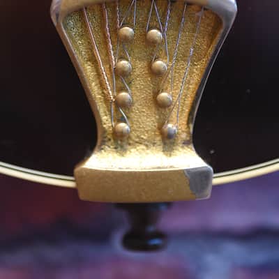 Kentucky Dawg Mandolin image 10
