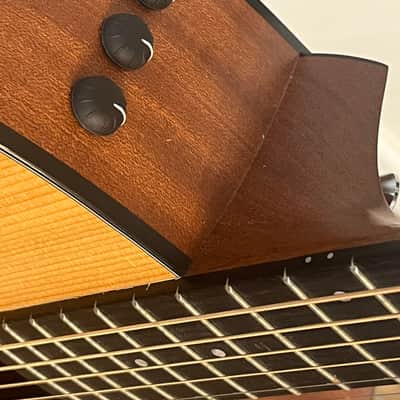 Taylor 110CE with Taylor Expression System Factory Installed and Padded Protective Gig Bag image 6