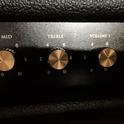 Friedman Smallbox 50 custom shop 3 channel image 2