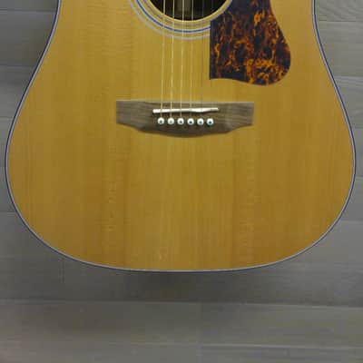 Guild DV6 | Reverb