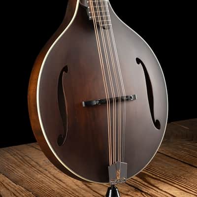 Eastman MDO305 Octave Mandolin - Classic - Free Shipping image 3