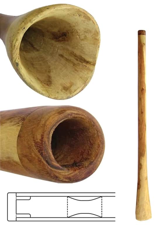 50-Inch Eucalyptus Didgeridoo - Handcrafted with Rich Sound and Durable Finish image 1