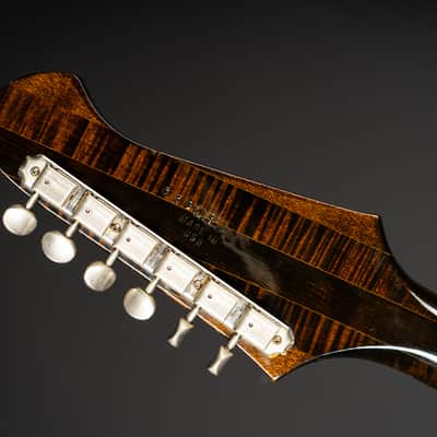 Gibson Firebird Artist CMT 1981 - Sunburst image 5