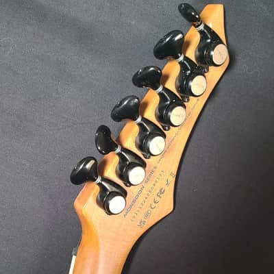 Leo Jaymz Monsoon 2025- Violet Burl- Never Played Professional Set up/Intonated image 5