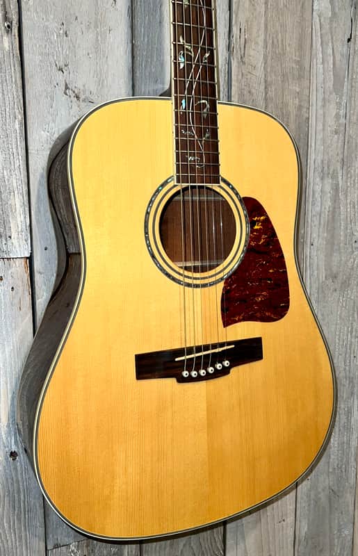 Excellent Ibanez AW40-NT Art Wood Acoustic W / Tree Of Life Vine