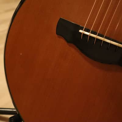 Kevin Ryan Nightingale - Pierre Bensusan image 6