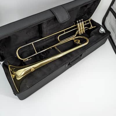 Raymond Musical Instruments RMVB-100 Bb Valve Trombone image 1