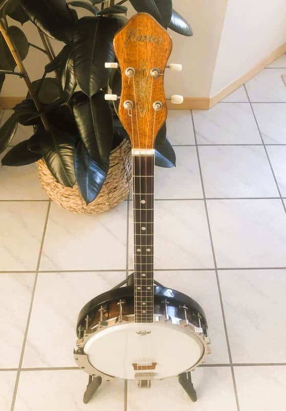 Framus Tenor Banjo Rhthym series, vintage 1963 - brown image 1