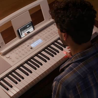 Yamaha EZ-310 61-Key Touch-Sensitive Keyboard image 8