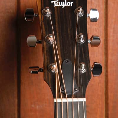 Taylor 210ce Dreadnought Acoustic-Electric Guitar image 3