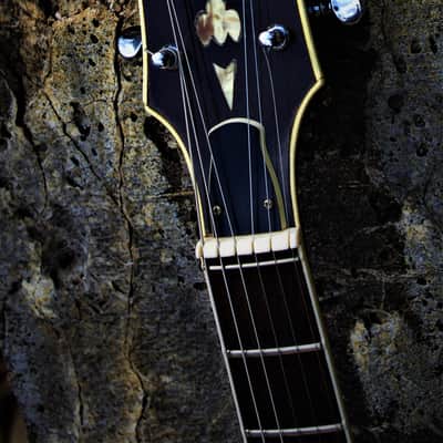 Standel 430-S 1968 - Sunburst. Very rare & collectible. image 19