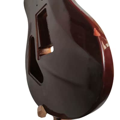 DIY SE Style Guitar Mahogany Body with tiger Maple Top in Tobacco Burst image 4