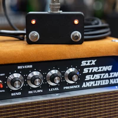 Amplified Nation Six String Sustain 50W Head & 212 Cab – Golden Brown Suede image 7