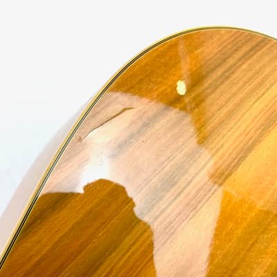 Fender Wildwood III 1966-1969 Natural image 18