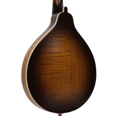 Gold Tone GM-55A A-Style Mandolin with Pickup image 9