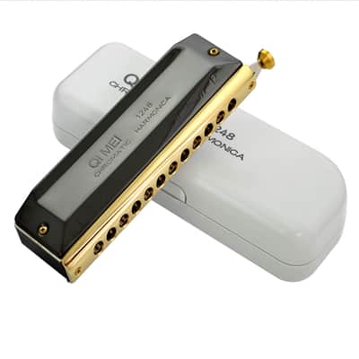 Chromatic Harmonica C Key 12 Hole 48 Tone Harp Harmonica French Harp Mouth Organ image 3