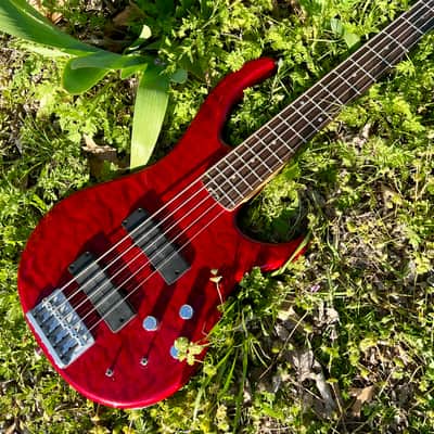 Peavey Fury V 2007/2008 5 String Bass - Upgraded Bartolini Pickups image 13
