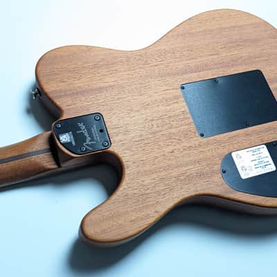 Fender Acoustason Telecaster image 19