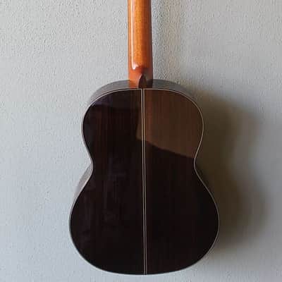 Brand New Cordoba C10 Cedar Top Classical Guitar image 7