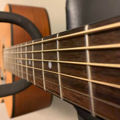 Fender DG-17EM 1996 Natural 50th Anniversary image 2
