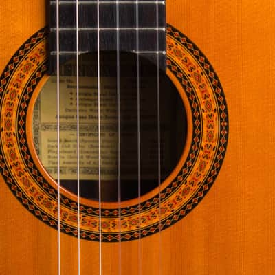 Hernandis  Grade #2 Classical Guitar (1973), ser. #0805, black tolex hard shell case. image 15