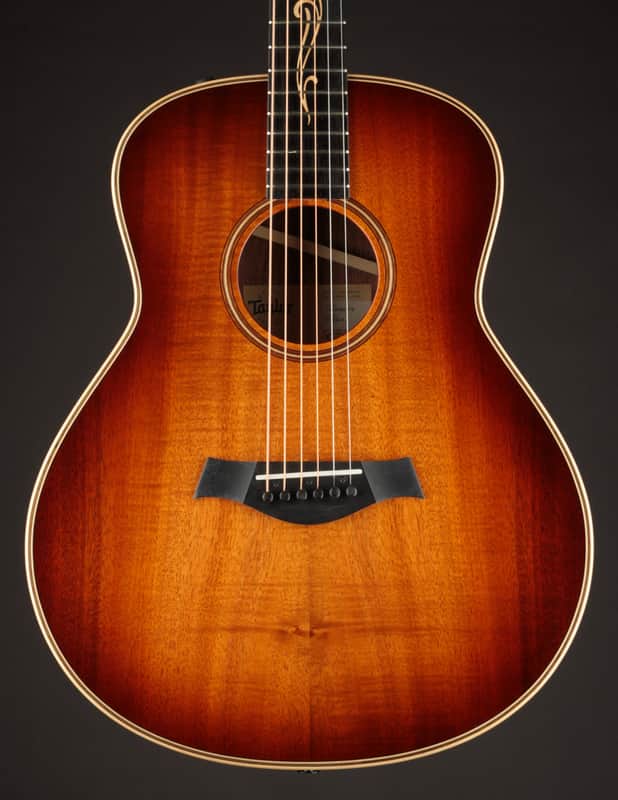 Taylor GT K21e (USED, 2022) image 1