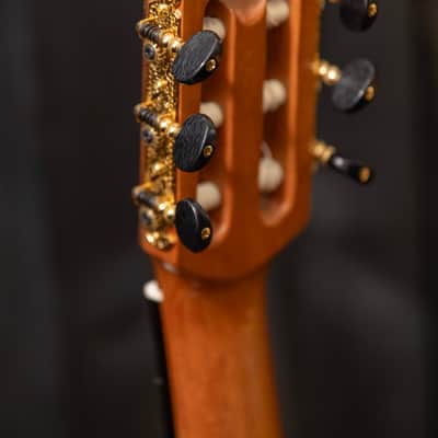 Chris Carrington Classical Guitar SN 384 2023 - Gloss top and sides, satin back image 22