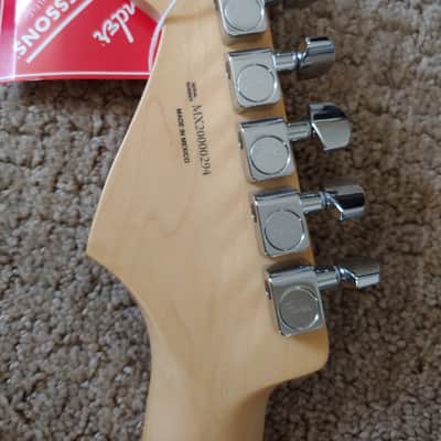 Fender Stratocaster (MIM) Black With White Pickguard Player Series image 12