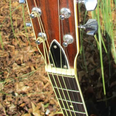 Vintage Gamma D-35 Copy Acoustic Guitar~Japan~w/Gig Bag ~3 Piece Back~Bone Saddle~MIJ~ image 6