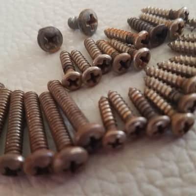 Fender Stratocaster full screw kit Aged Relic image 2